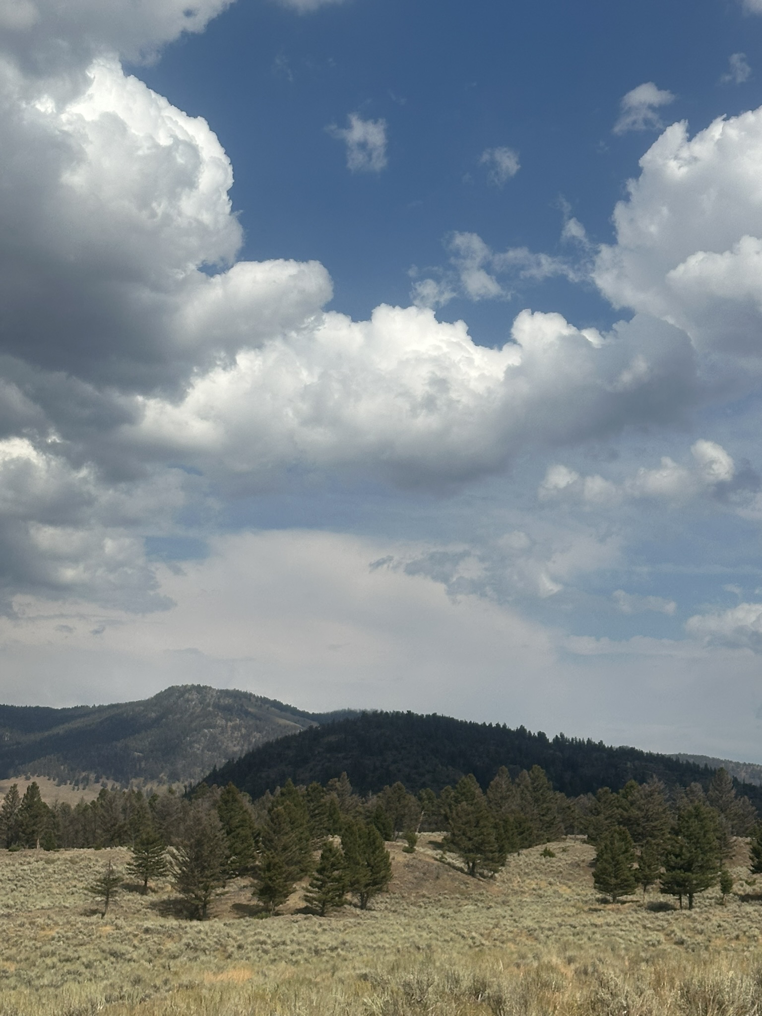 Yellowstone And Grand Teton National Parks - Image 771